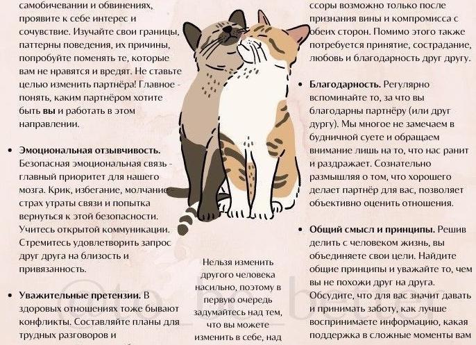 🌸 «Грань желания» — анатомия привязанности: когда чувства становятся опасными