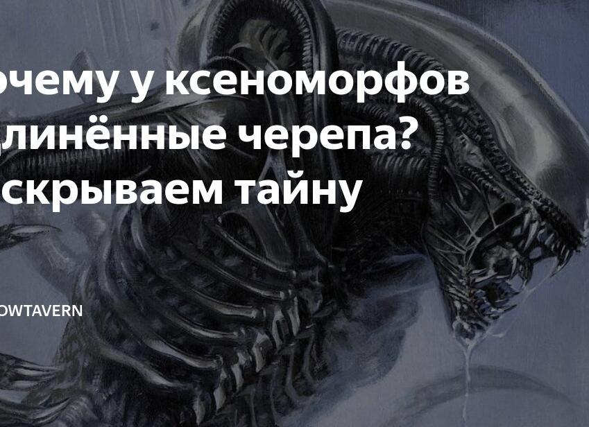Почему у ксеноморфов удлинённые черепа? Раскрываем тайну