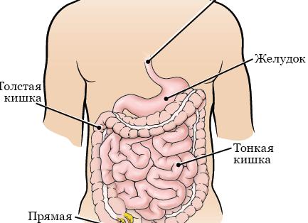 Когда каждый вдох на счету: 7 потрясающих фильмов о жизни в космосе